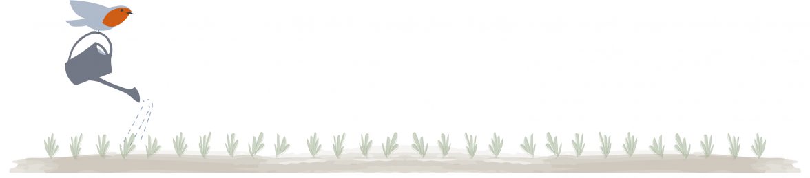 Illustration of a robin for The Great British Website, an ecommerce website selling British food and produce.