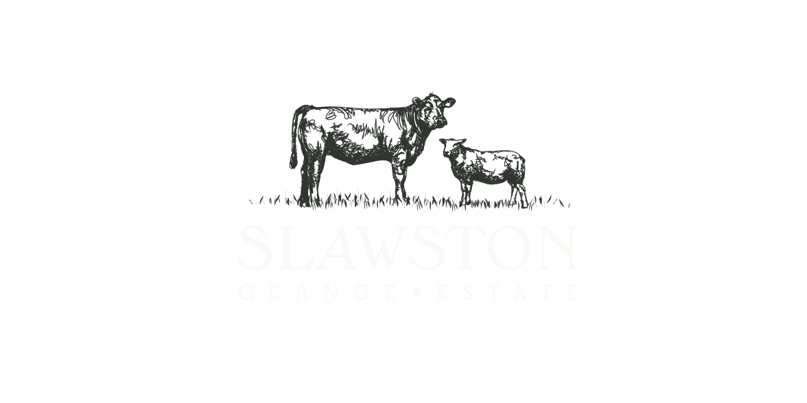 Brand identity and design for Slawston Grange Estate including ilustrations of Aberdeen Angus steers and pedigree Lleyn ewes.